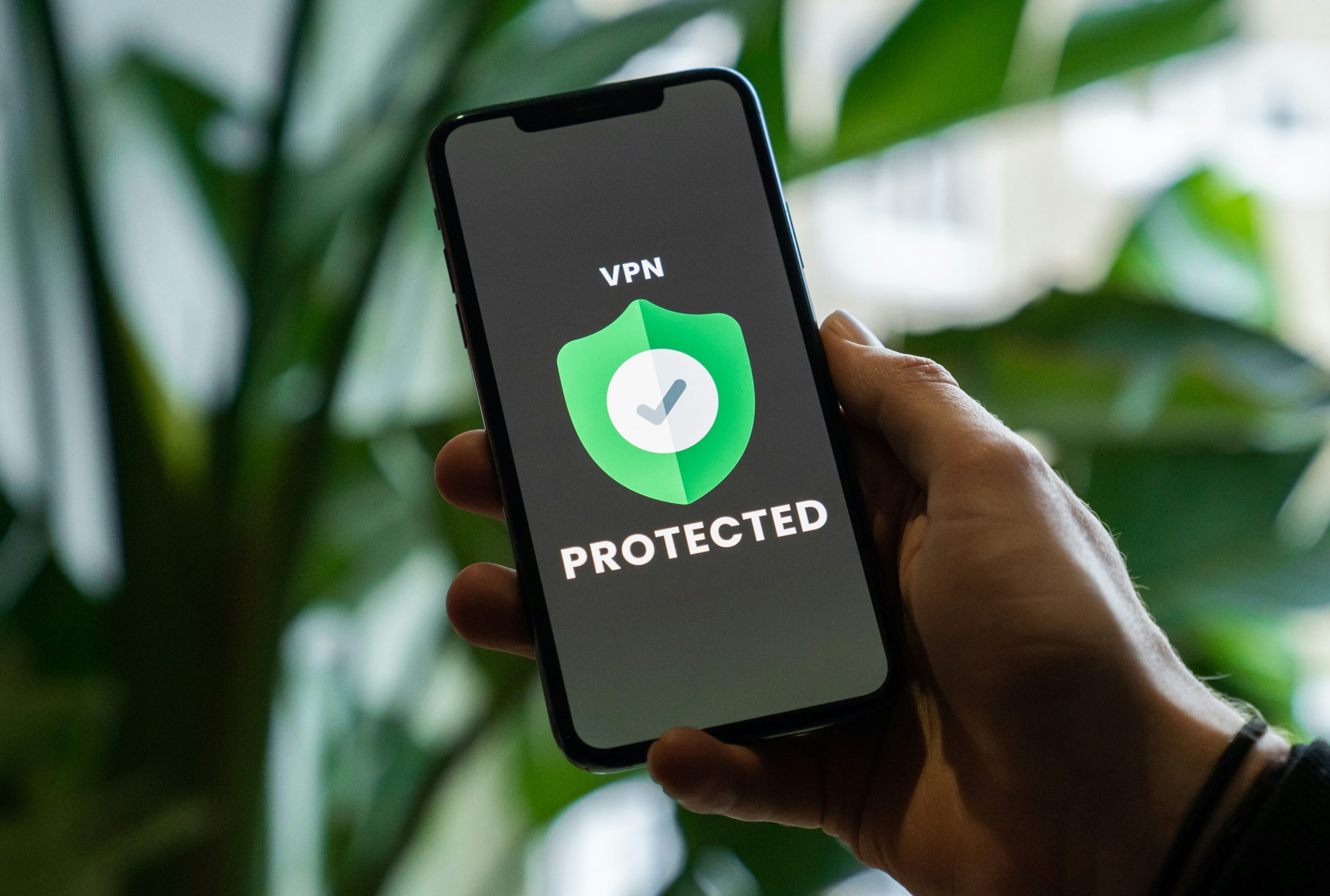 Do VPN Providers Take Action Not to Serve the Bad Guys?