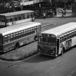 Top 6 Niche Vocabulary Apps (Clozemaster, Readlang, Lirica) That Commuter Learners Use to Build Passive Recall During Short Trips