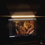 Camehoresbay: A Clear Guide for Curious Users