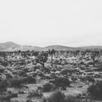 Guide: How to enable Javascript on iPhone