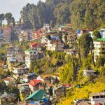 Best 4 Niche Layout & Grid Tools for Precise Design Work