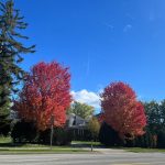 What Is Nextdoor And Is It Legit? Complete Guide To The Neighborhood App And How It Works